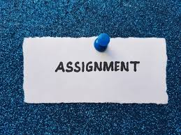 Assignment